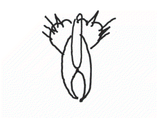 1378980916_1306538847