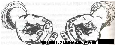 1288803492_novyj-risunok