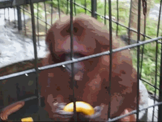 1379428140_2011533059