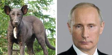 o-00008877-n-00017779