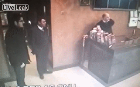 гифки-кот-живность-нападение-887270