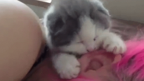 1379775930_1404003263