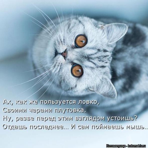 1ed0e9056c43e90d28fd225c510_prev