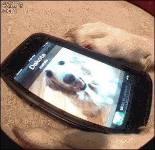 1380346375_241965976