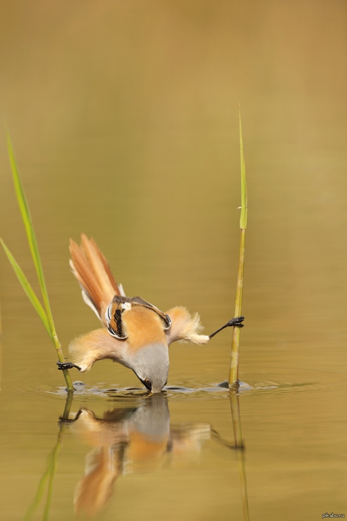 1380392731_505158096