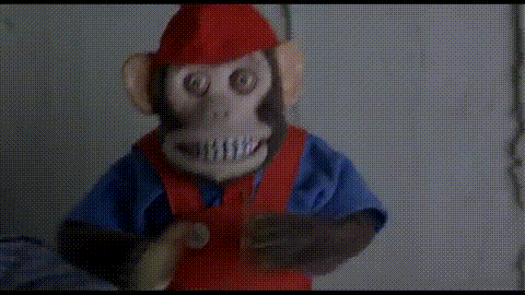 Fungif_19-1