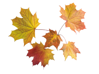 92758055_0a270a5663a6484786a21f1eb751400e