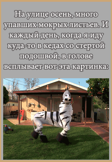 1381576338_939743179