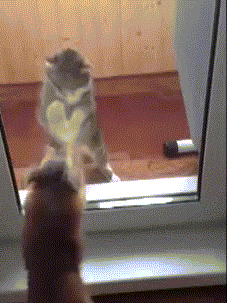 гифки-друзья-912687