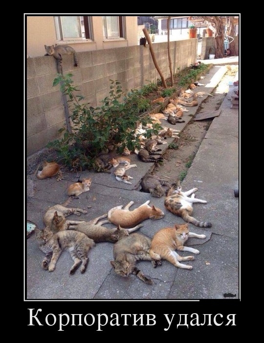 105838020_Uboynaya_podborka_demotivatorov_122__61_