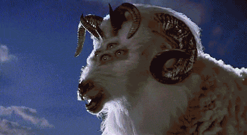 курбанбвйран