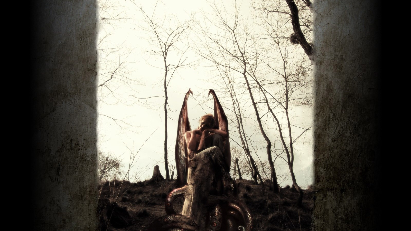 1600-900-gotica_113_20101114_2024769478