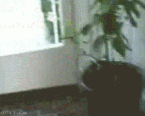 танцующий малыш