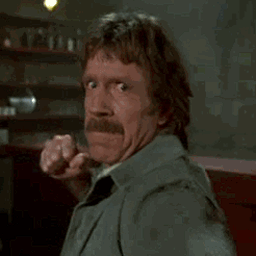 chuck-norris-punch-6429_preview