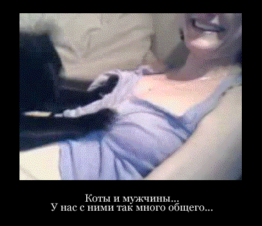 gif-018