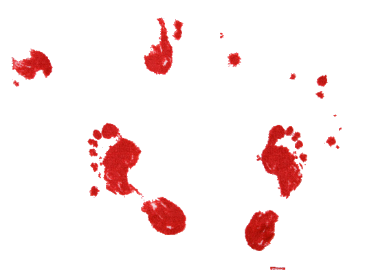 zoom-8431-01