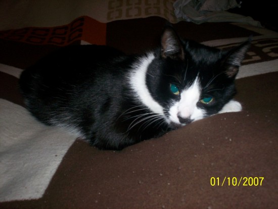 Отдыхаем.....