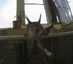 0_e65da_bcf577db_orig