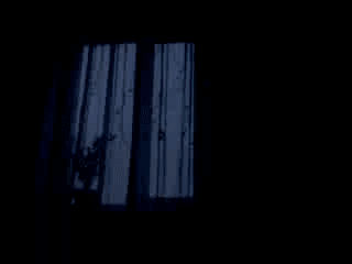о0022ГИФ