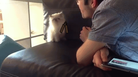 928