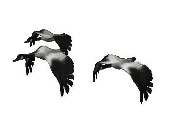 104773542_20170970d30cc1320401cd1