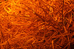 красн трава