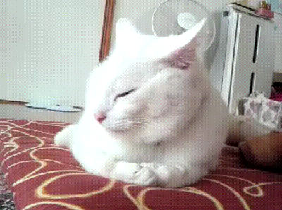 blyayayayaya_yapfiles.ru