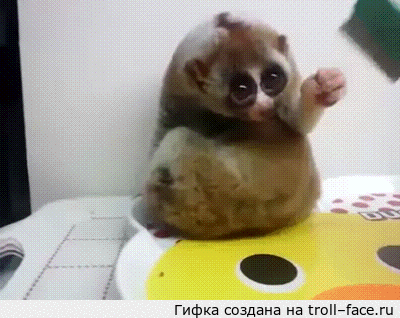 1384425111_1226304354