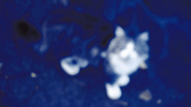 DSCF5216ГИФ3 (2)