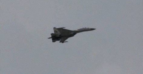 Fungif_10 (2)
