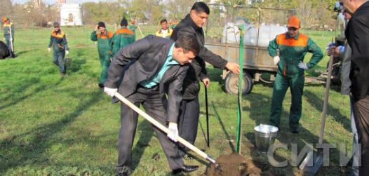 dub0011385034412_thumb_medium526_0