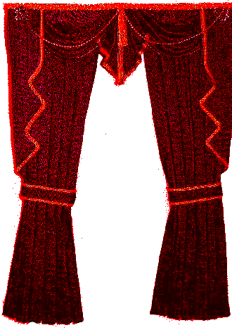 шторы