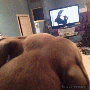 tumblr_mwq8614K7N1s02vreo1_400