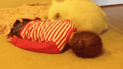 1385285279_1616997070