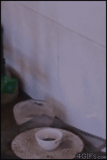 Enjoyinganicecupofcoffeesuddenlypunchedinthefacebyit_yapfiles.ru