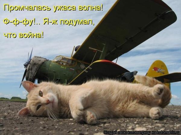 106897464_large_69e0769930f7762df4928f0766849690_95811