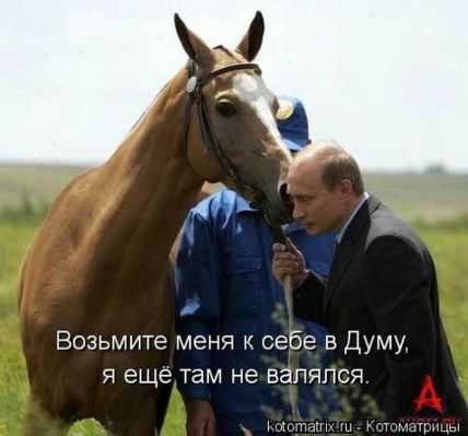 107543720_large_1