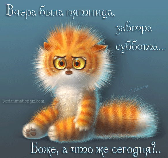 0023-pya-adm