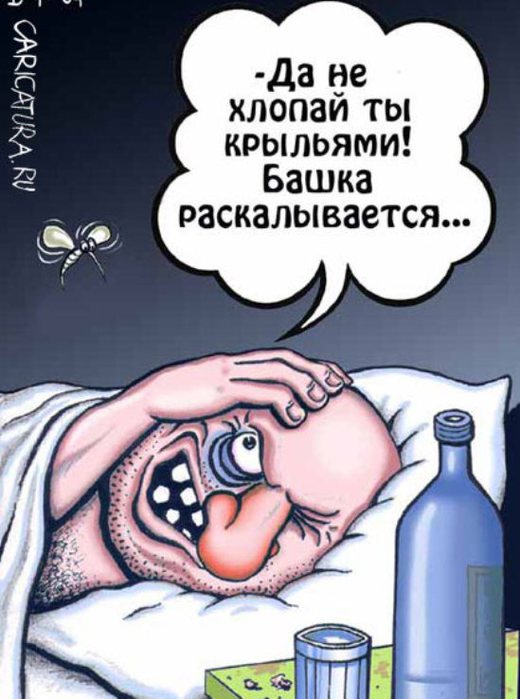 107345644_large_4387736_20