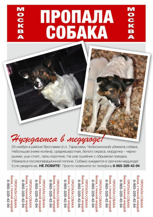 107609140_3045391_Kopiya_PhotoLudmilaKytyeva