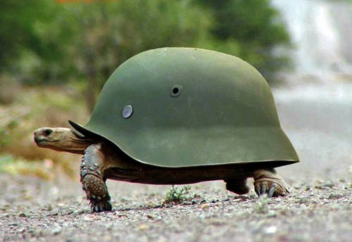 Двойная защита