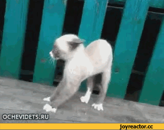 eedc636e-ef60-402b-b6e5-e8c598cdbe60