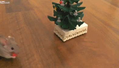 10122013-gifki-gifki-smeshnye-gifki-animashki_409017465