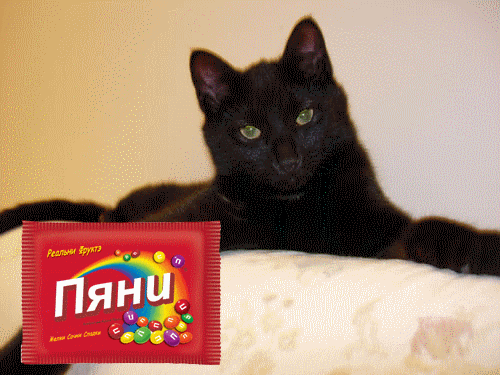 2009_01_23_15_00_110837_1