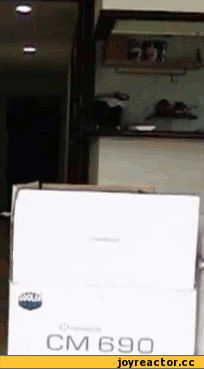 кот из коробки