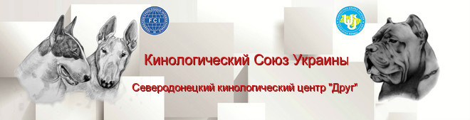 шапка с надп