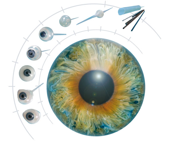 rauch_entstehung_kunstauge1