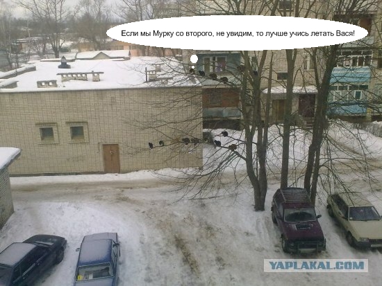 post-3-12676381391512