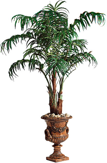 Безымянный