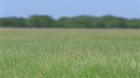 1387657908_1777301378